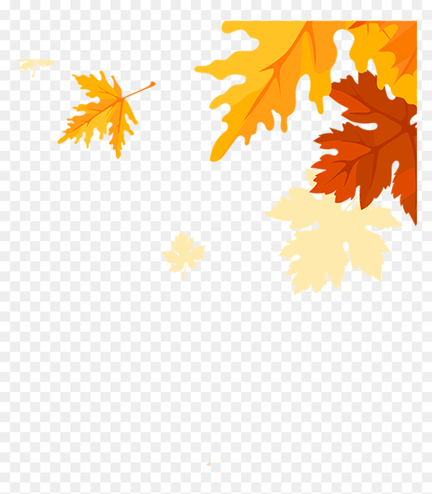 Maple Falling Png, Transparent Png - maple leaf png
