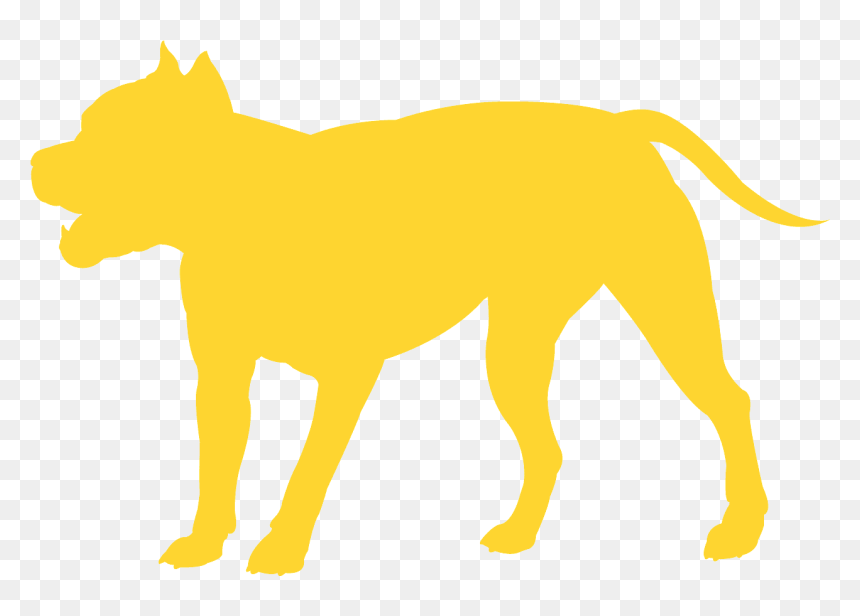 Dog, HD Png Download - pitbull png