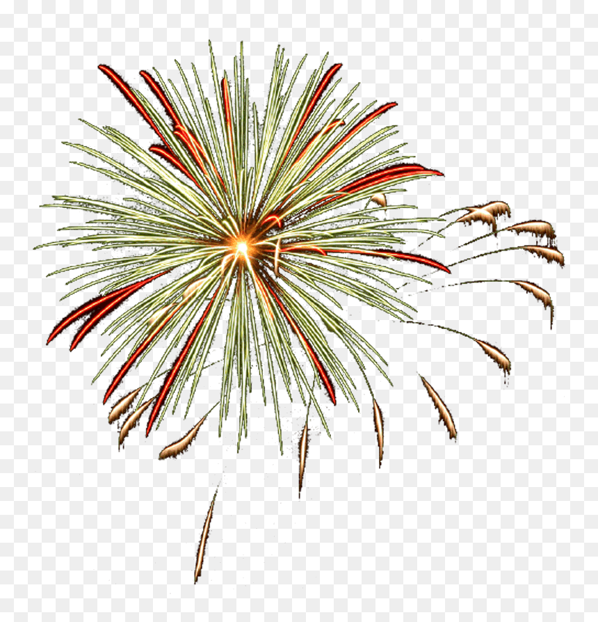 White Pine, HD Png Download - fireworks png transparency