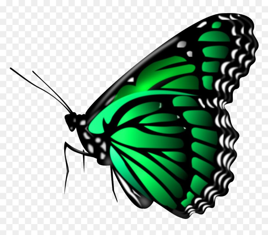 Png Download For Picsart, Transparent Png - picsart png effect