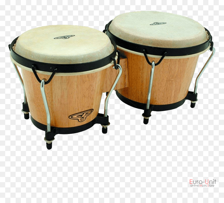 Cp221 Aw, HD Png Download - music instruments png