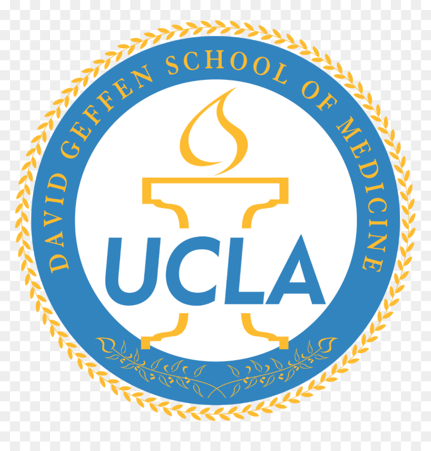 Ucla David Geffen School Of Medicine, HD Png Download - ucla logo png