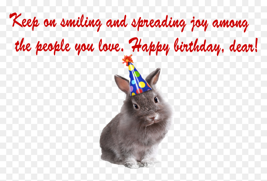 Rat, HD Png Download - birthday wishes png