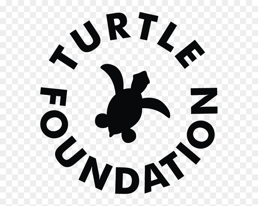 Turtle Foundation, HD Png Download - sea turtle png