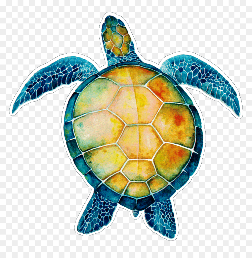 Turtule On Sea Quotes, HD Png Download - sea turtle png
