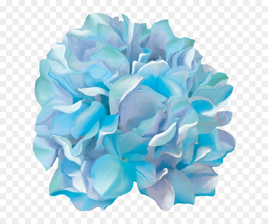 Hydrangea Watercolor, HD Png Download - water color png