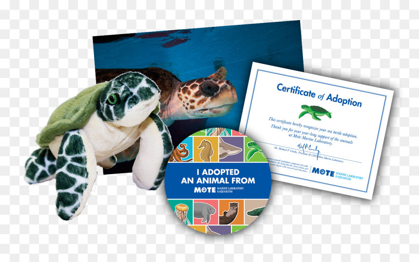 Dugong, HD Png Download - sea turtle png