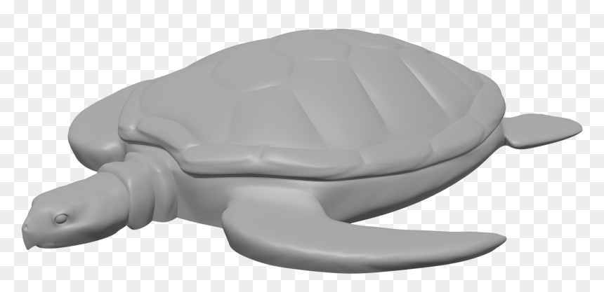 Kemp's Ridley Sea Turtle, HD Png Download - sea turtle png