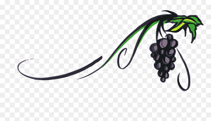 Grapevine Clipart Transparent Background, HD Png Download - grape png