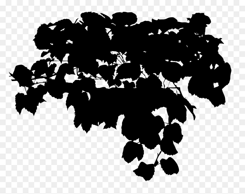 Illustration, HD Png Download - grape png