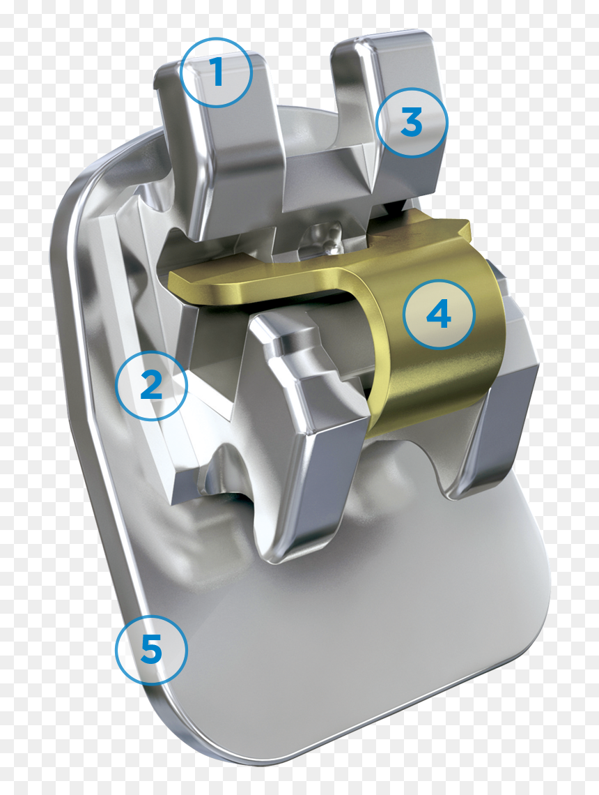 Ovation L Braces, HD Png Download - bracket png