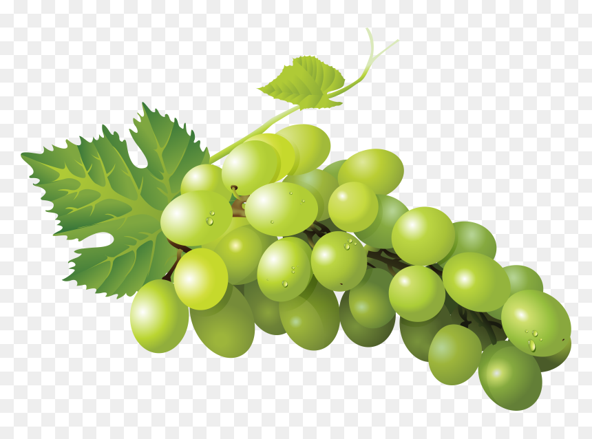 Grape Png, Transparent Png - grape png