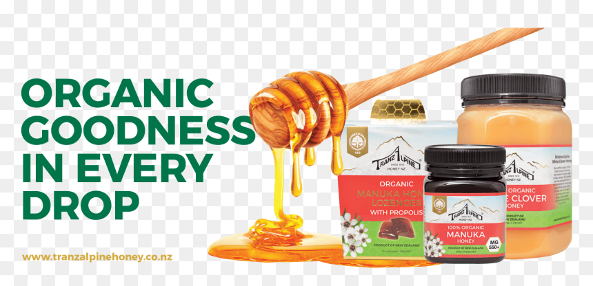 Thanksgiving, HD Png Download - honey drop png