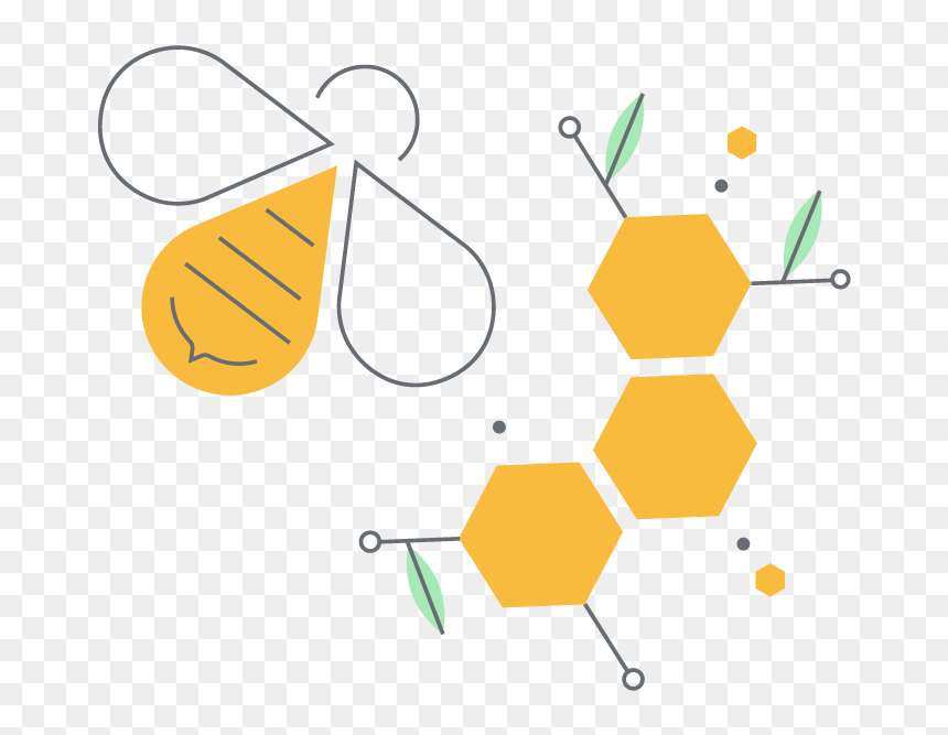 Bees Draw Their Nectar From The Manuka Flowers On Our - Manuka Flower Clipart, HD Png Download - honey drop png