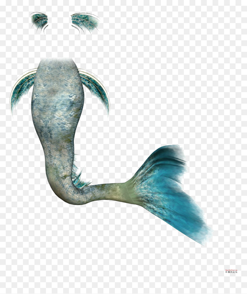 Mermaid Rusalka Clip Art - Mermaid Tails Transparent Background, HD Png Download - mermaid tails png