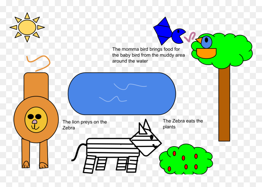 Community Definition, HD Png Download - zebra cartoon png