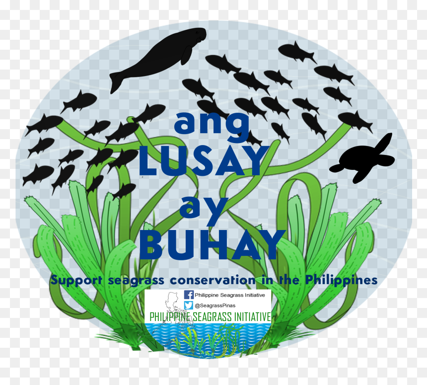 School Of Fish Vector, HD Png Download - seagrass png