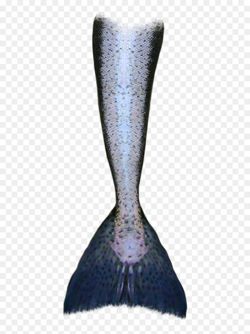 Mermaid Tail Clipart Tumblr Transparent - Transparent Mermaid Tail Drawing, HD Png Download - mermaid tails png