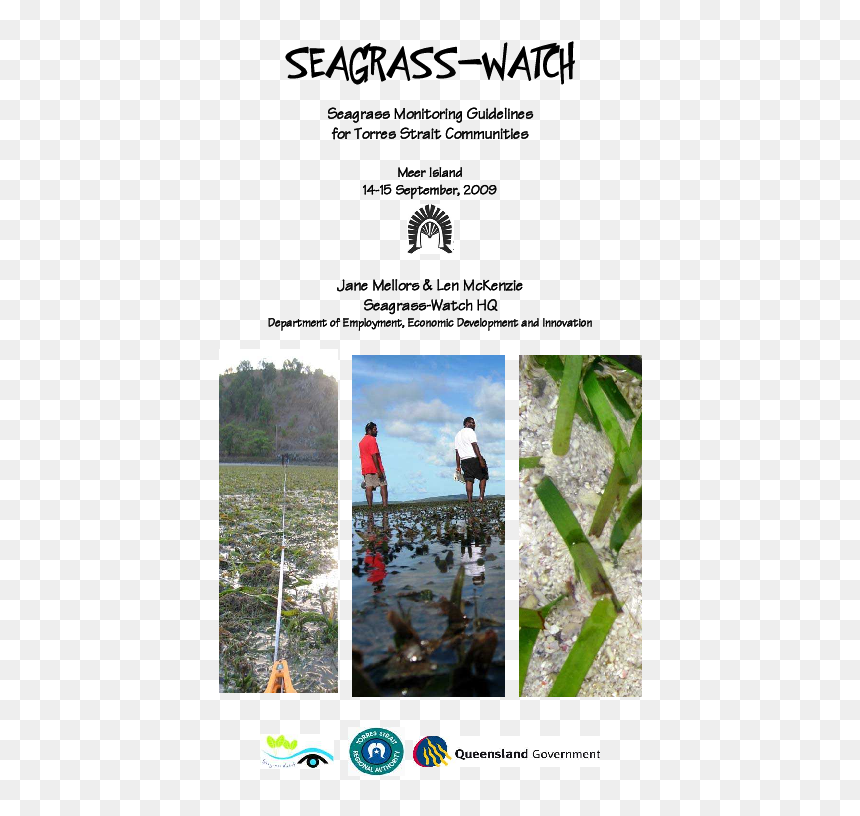 Banner, HD Png Download - seagrass png