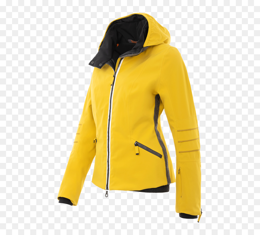 Zipper, HD Png Download - gold zipper png