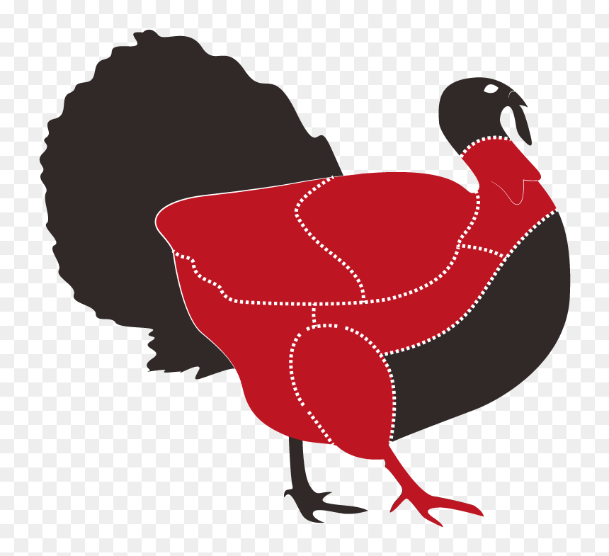 Transparent Pavo Png - Animales Carnes Vector, Png Download - pavo png