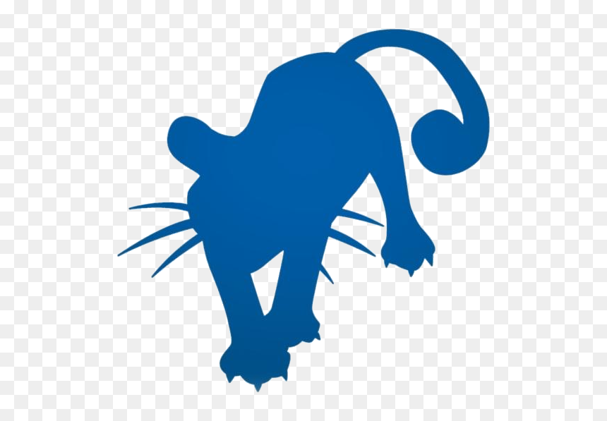 Persian Cat Png Transparent Images, Png Download - persian cat png