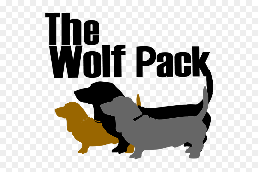 The-wolfpack - Dachshund, HD Png Download - wolf ears png