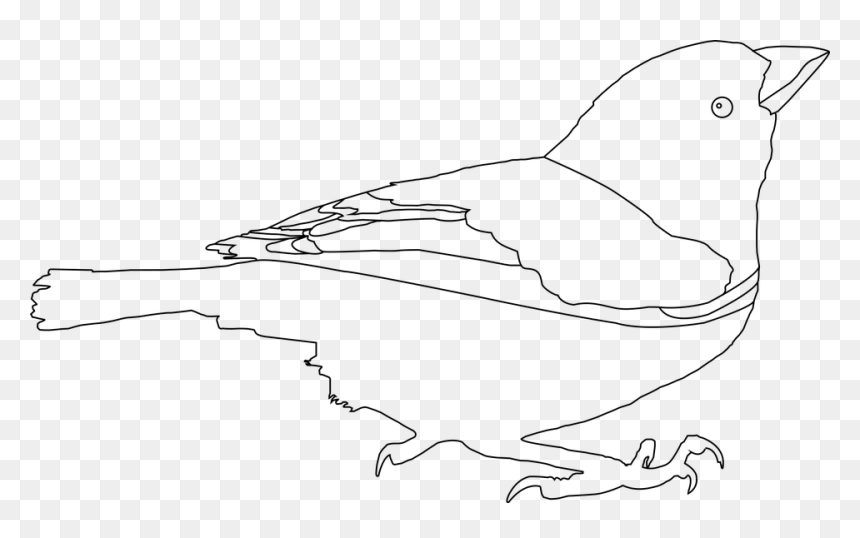 Sort Hvid Stregtegning Png, Transparent Png - drawn line png
