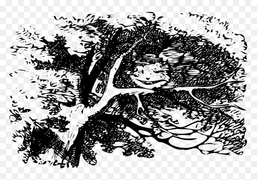 Alice In Wonderland Pictures From The Book, HD Png Download - alice in wonderland cat png