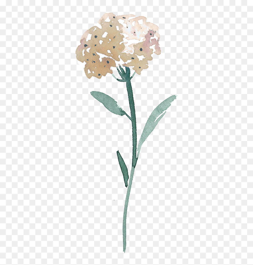 Flower3 400px - Flower2, HD Png Download - rsvp png