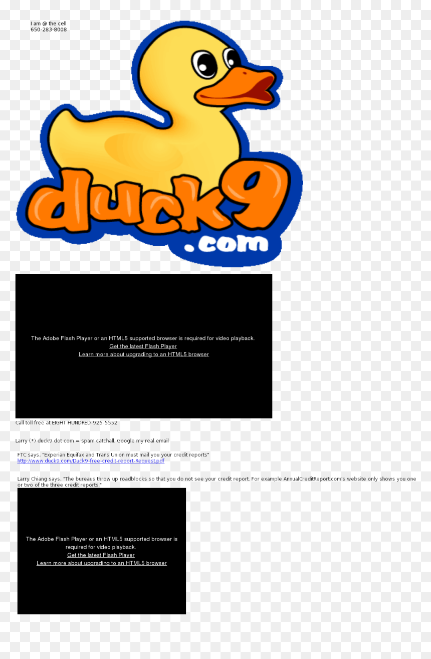 Duck Png Download Duck - Duck, Transparent Png - equifax png