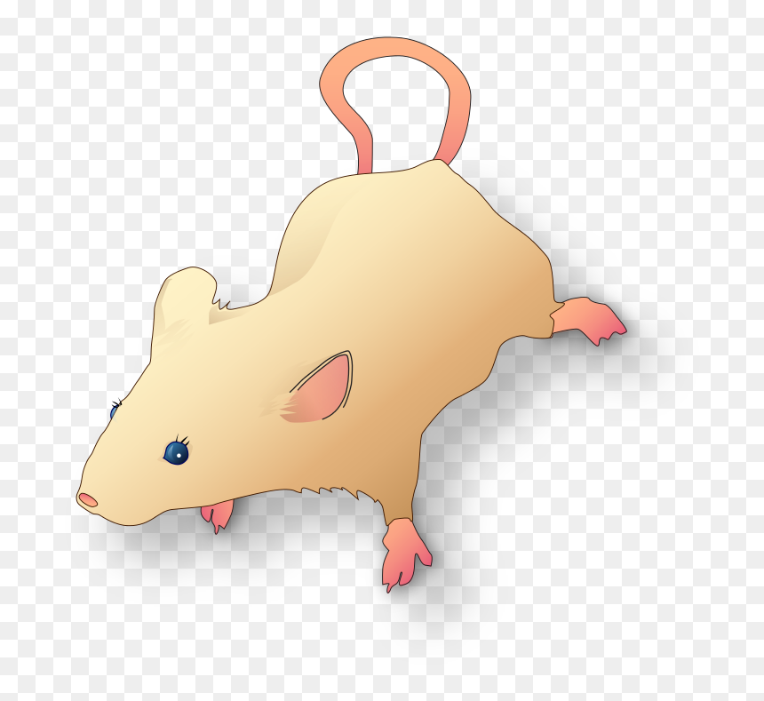 Rat, HD Png Download - lab rat png