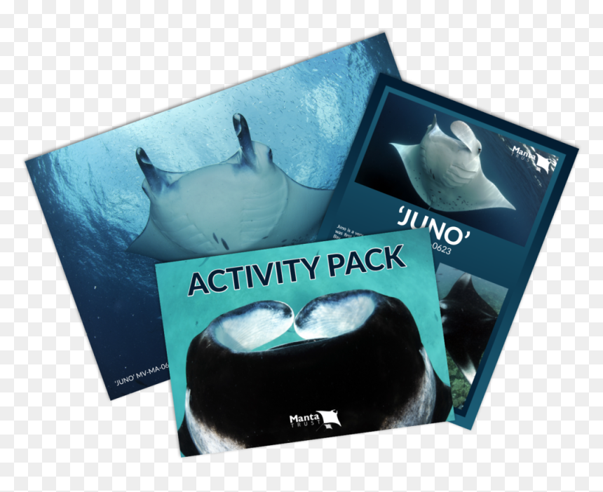 Mt Adoption Packs Preview Thumbnail - Manta Trust, HD Png Download - manta ray png