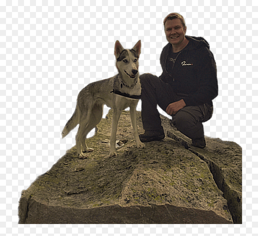 Donkey, HD Png Download - k9 png