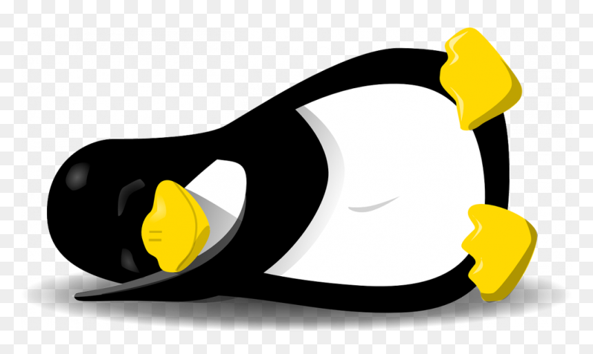 Penguin Sleeping Png, Transparent Png - samba png