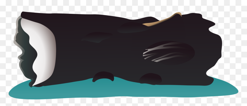 Manta Ray,sperm Whale,bowhead - Illustration, HD Png Download - manta ray png