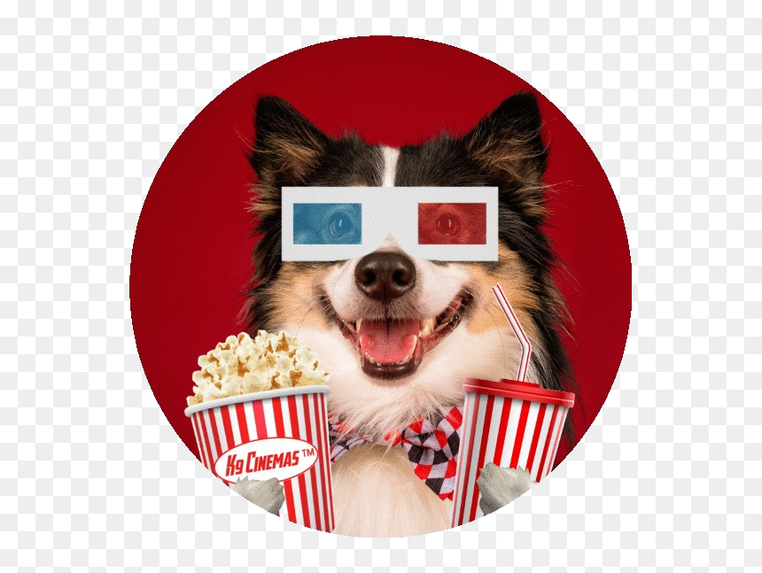 K9 Cinemas, HD Png Download - k9 png