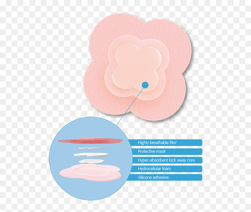 Wound, Allevyn Life Foam Dressings Smith Nephew Professional - Allevyn Life, HD Png Download - stab wound png