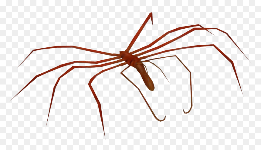 Invertebrate, HD Png Download - giant spider png
