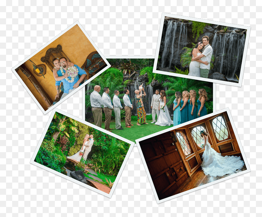 Frame - Photograph, HD Png Download - hawaiian frame png