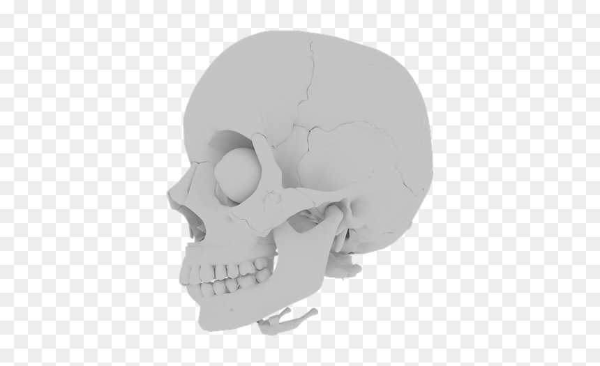Skull, Orbit, Skeleton, Bone, Teeth, Medical, Human - Skull, HD Png Download - pixel skull png