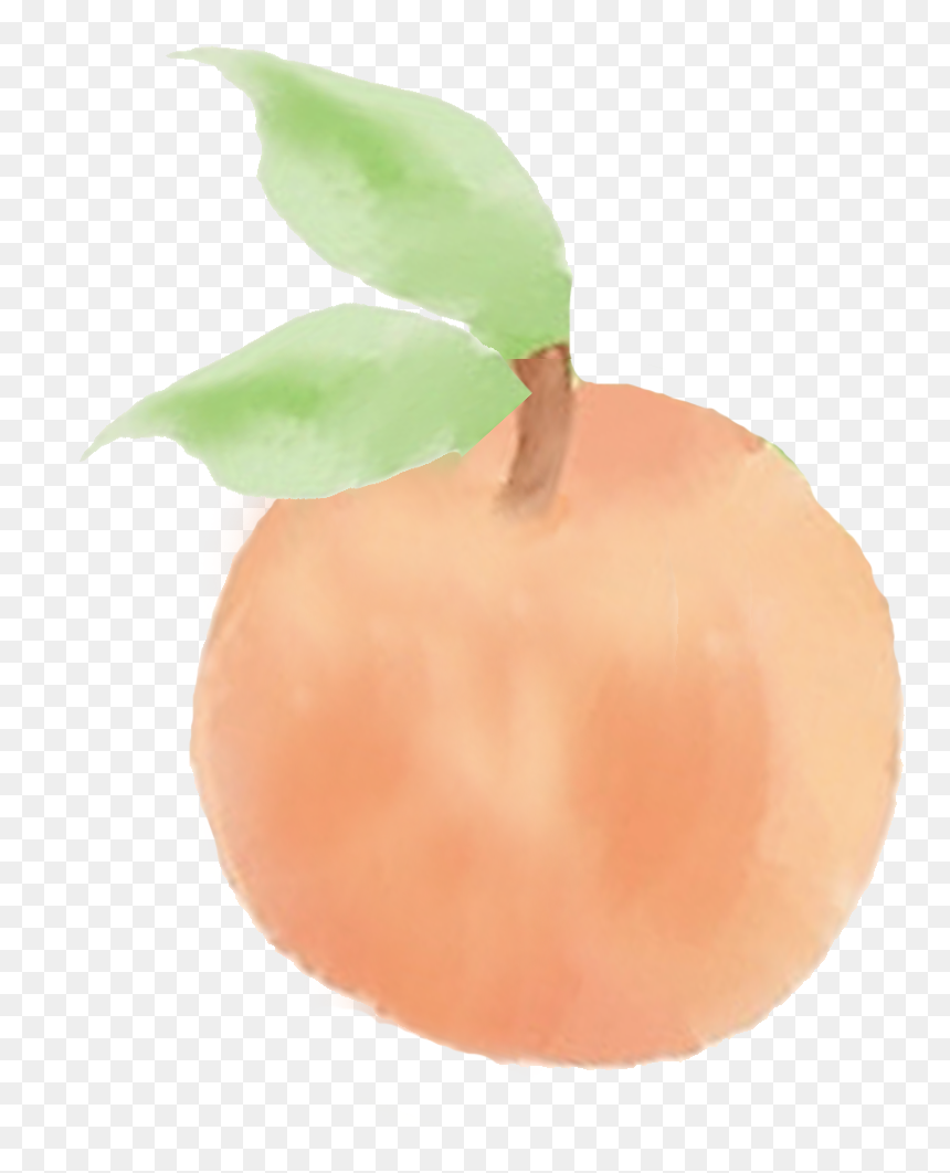 Transparent Peach Png Tumblr - Apple, Png Download - peach png tumblr