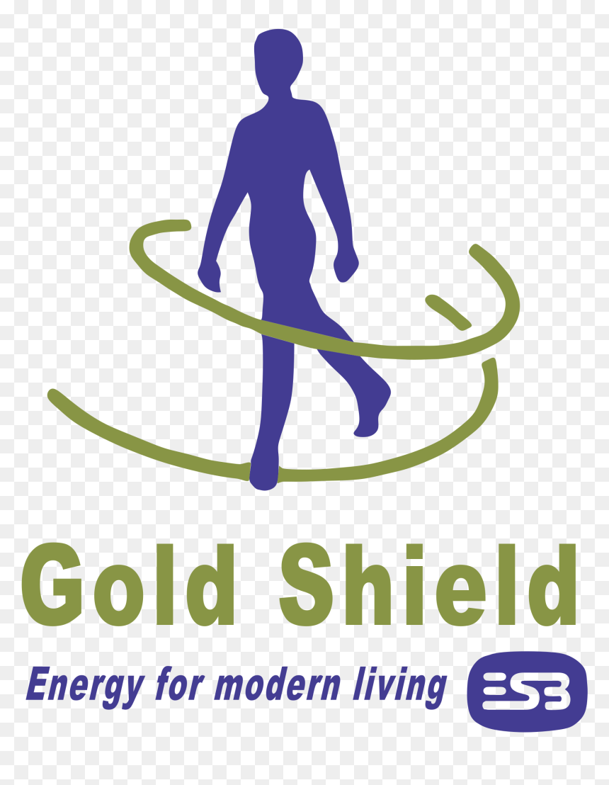 Qualifelec, HD Png Download - energy shield png
