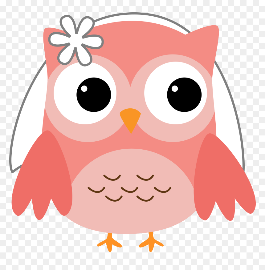 Photo By @daniellemoraesfalcao - Birthday Owl Png, Transparent Png - owl.png