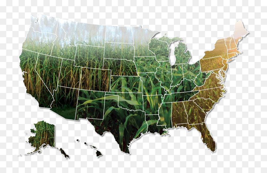 Green Wave International Office & Warehouse Locations - Usa Languages, HD Png Download - john f kennedy png