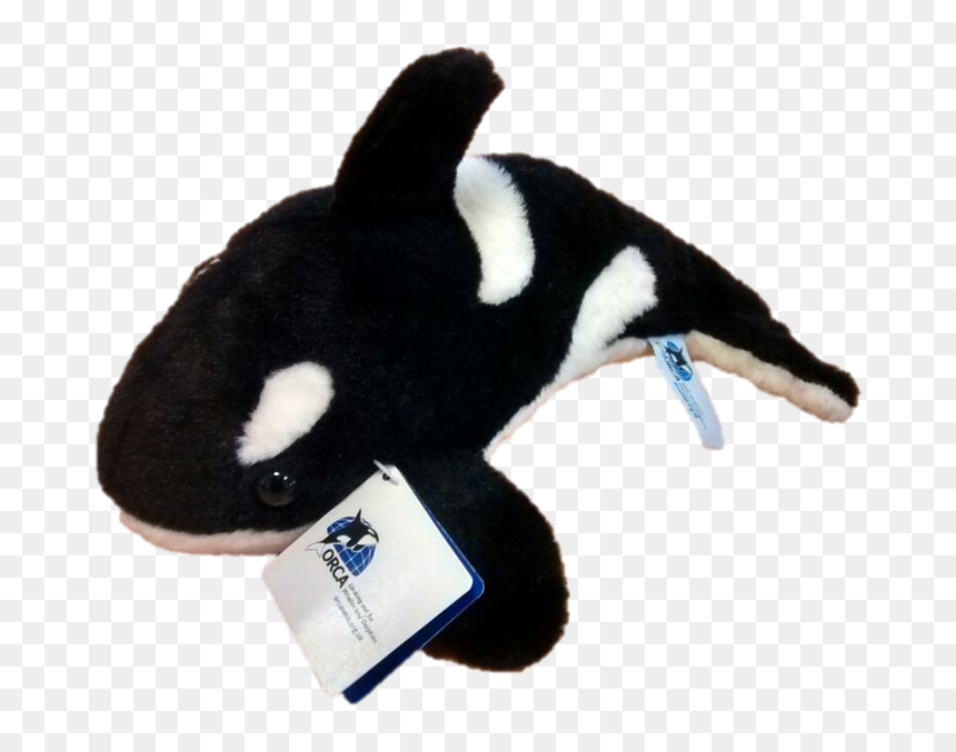 Stuffed Toy, HD Png Download - cute shark png