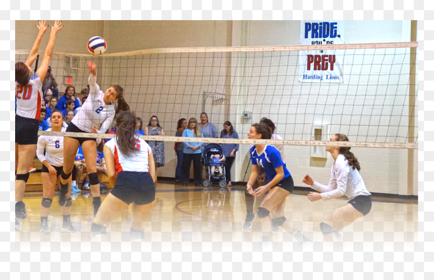Athletics-volleyball 2016, HD Png Download - png volleyball