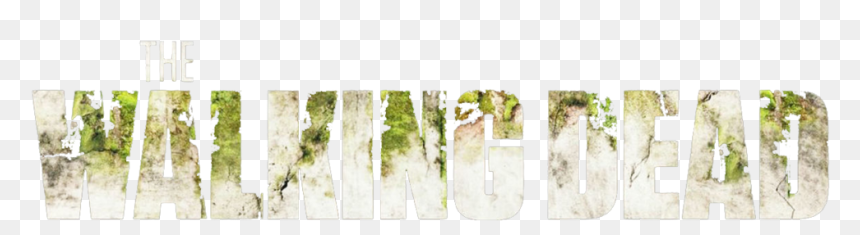 Wd - Vase, HD Png Download - props png