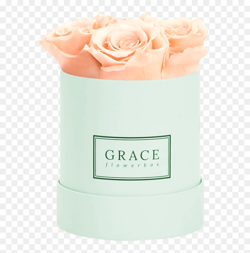 Garden Roses, HD Png Download - peach flowers png