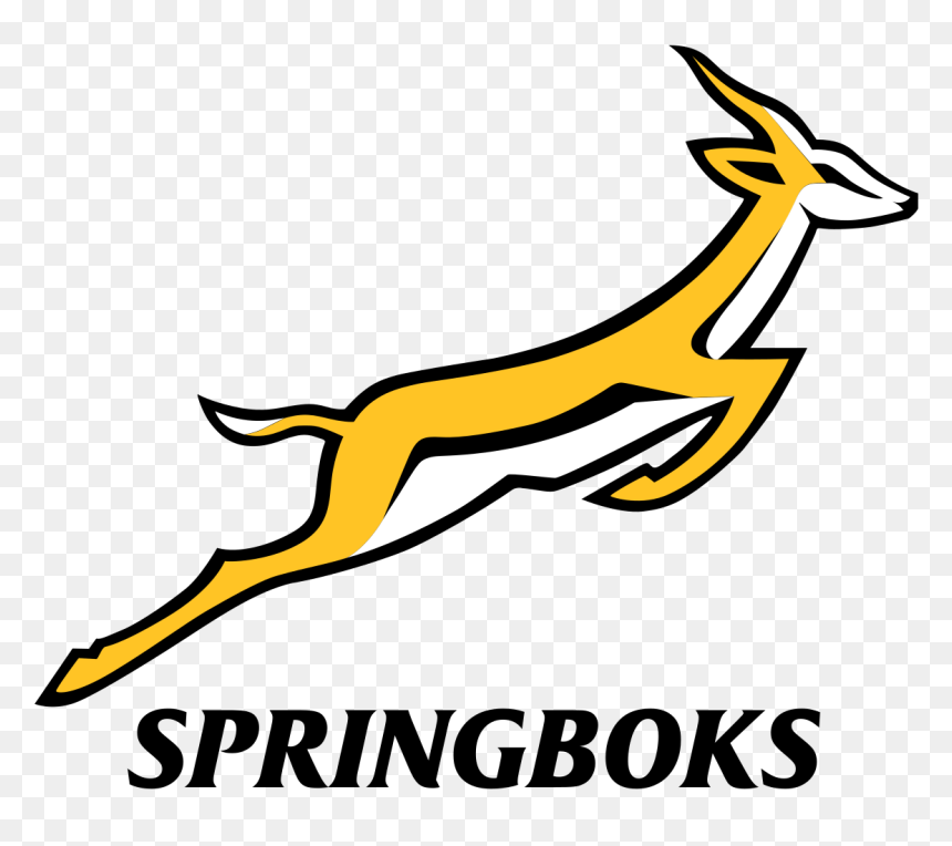 Logo South Africa Rugby, HD Png Download - south africa png
